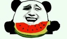 52每日大瓜视频 朝阳吃瓜群众网,揭秘52每日大瓜视频幕后故事