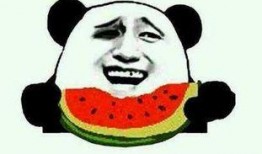 带你吃瓜,揭秘娱乐圈那些不为人知的幕后故事