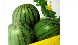 热门大瓜每日更新校园网红 北京朝阳吃瓜,北京朝阳吃瓜日常